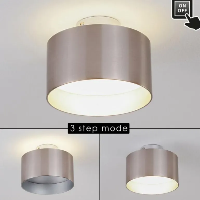 Plafonnier Baraboo LED Nickel mat, 2 lumières