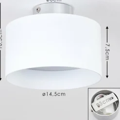 Plafonnier Baraboo LED Nickel mat, 2 lumières