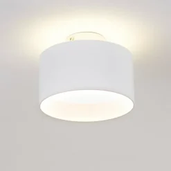 Plafonnier Baraboo LED Nickel mat, 2 lumières