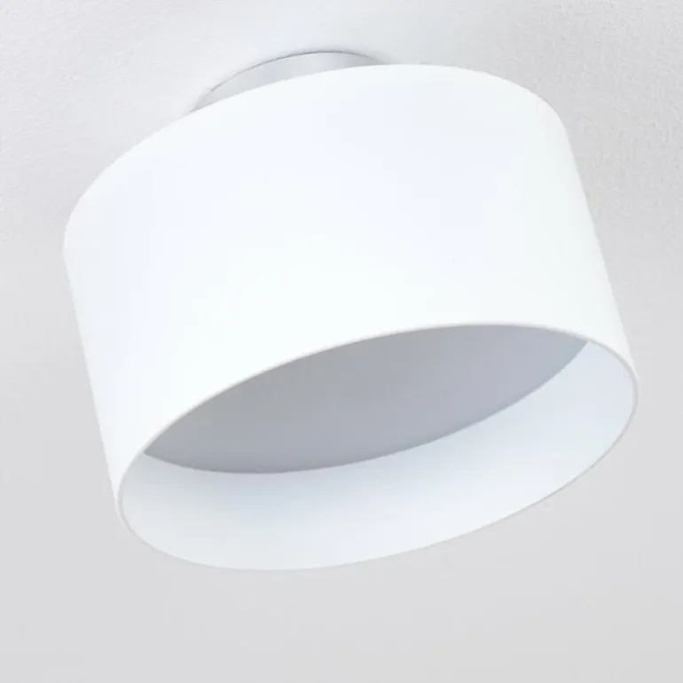 Plafonnier Baraboo LED Nickel mat, 2 lumières