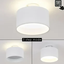 Plafonnier Baraboo LED Nickel mat, 2 lumières