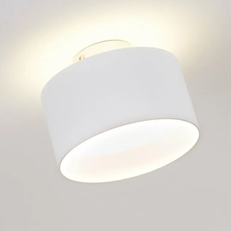 Plafonnier Baraboo LED Nickel mat, 2 lumières