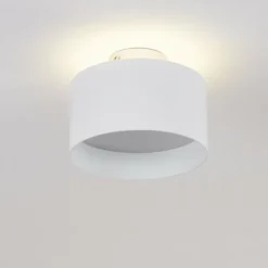 Plafonnier Baraboo LED Nickel mat, 2 lumières
