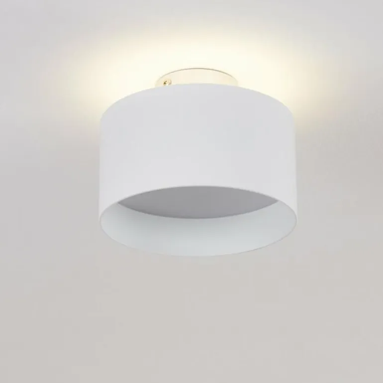 Plafonnier Baraboo LED Nickel mat, 2 lumières