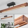 Plafonnier Barron LED Noir, 1 lumière
