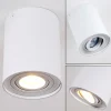 Plafonnier Betsie Blanc, 1 lumière