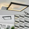 Plafonnier Bina LED Blanc, 1 lumière, Télécommandes