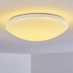 Plafonnier Brighton LED Blanc, 1 lumière, Télécommandes, Changeur de couleurs