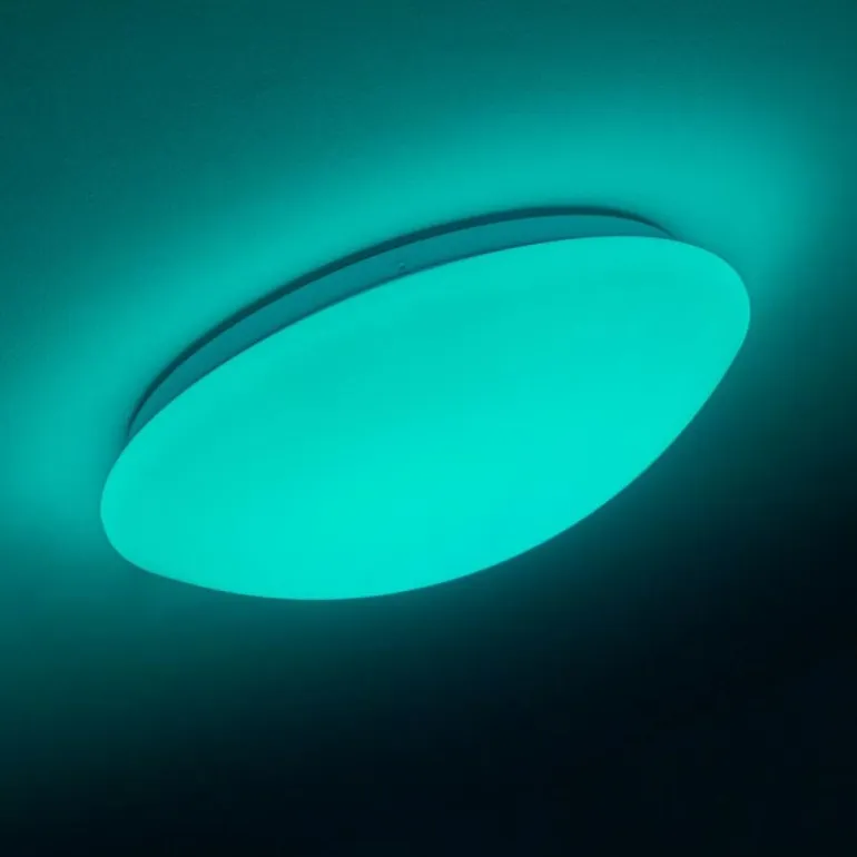 Plafonnier Brighton LED Blanc, 1 lumière, Télécommandes, Changeur de couleurs