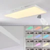 Plafonnier Buenaventura LED Blanc, 1 lumière, Télécommandes, Changeur de couleurs