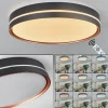 Plafonnier Cachalot LED Cuivre, Noir, 1 lumière, Télécommandes, Changeur de couleurs