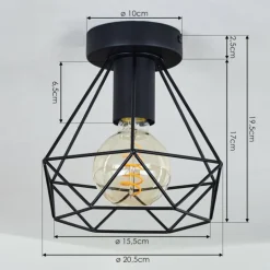 Plafonnier Denno Noir, 1 lumière