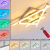 Plafonnier Eriz LED Nickel mat, 4 lumières, Télécommandes, Changeur de couleurs