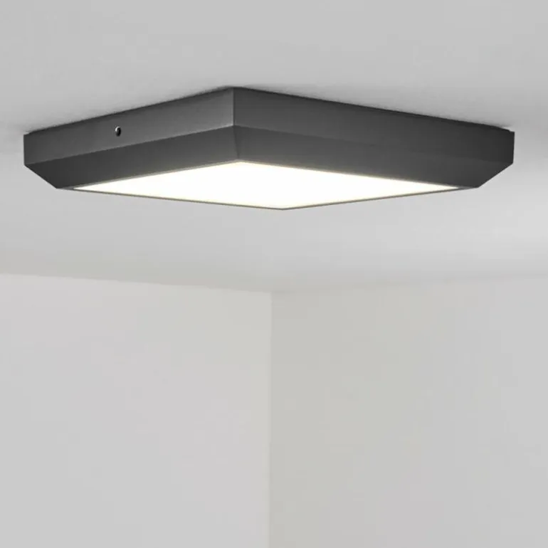 plafonnier extérieur Alkmaar LED Anthracite, 1 lumière
