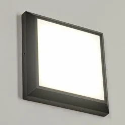 plafonnier extérieur Alkmaar LED Anthracite, 1 lumière