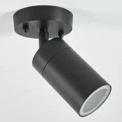 plafonnier extérieur Bessiebelle Noir, Blanc, 1 lumière