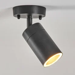 plafonnier extérieur Bessiebelle Noir, Blanc, 1 lumière