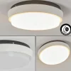 plafonnier extérieur Centinela LED Anthracite, Blanc, 1 lumière