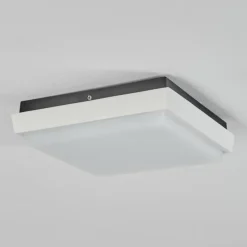 plafonnier extérieur Gomero LED Anthracite, Blanc, 1 lumière