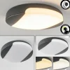 plafonnier extérieur Joserand LED Anthracite, 1 lumière