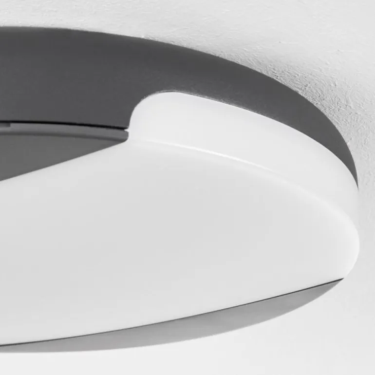 plafonnier extérieur Joserand LED Anthracite, 1 lumière