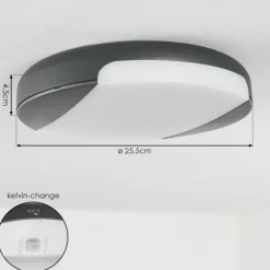 plafonnier extérieur Joserand LED Anthracite, 1 lumière