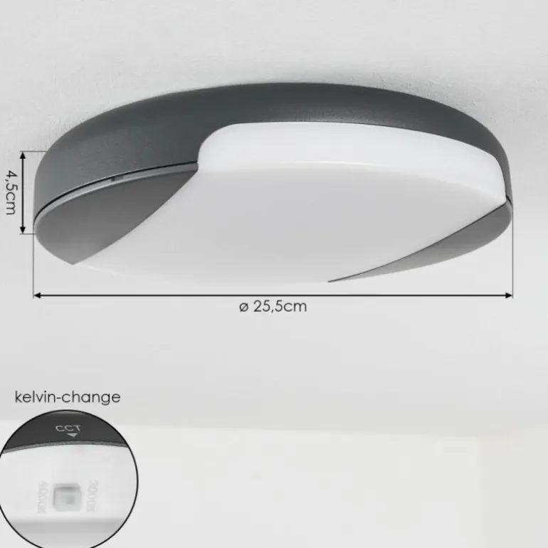 plafonnier extérieur Joserand LED Anthracite, 1 lumière