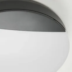 plafonnier extérieur Joserand LED Anthracite, 1 lumière