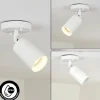 plafonnier extérieur Aketohoin LED Blanc, 1 lumière