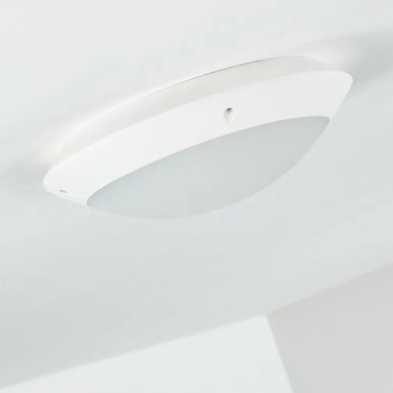 plafonnier extérieur Grafton Blanc, 1 lumière