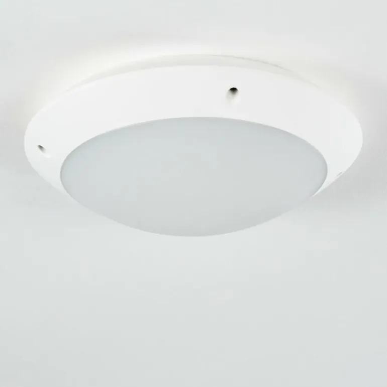 plafonnier extérieur Grafton Blanc, 1 lumière