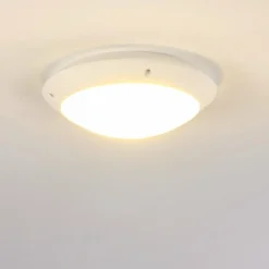 plafonnier extérieur Grafton Blanc, 1 lumière
