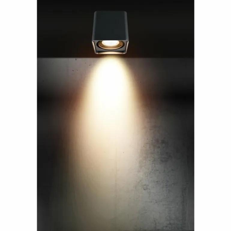 plafonnier extérieur LCD Falshorn Gris, 1 lumière