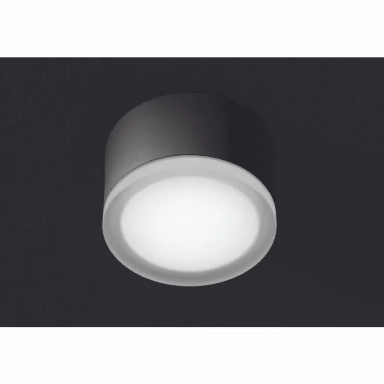 plafonnier extérieur LCD Grasbrunn LED Noir, 1 lumière