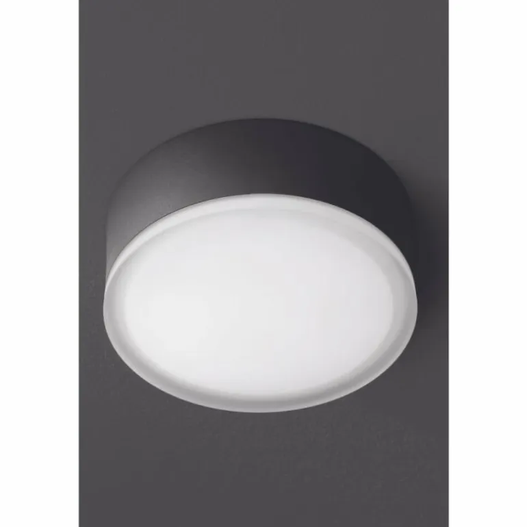 plafonnier extérieur LCD Grasbrunn LED Noir, 1 lumière