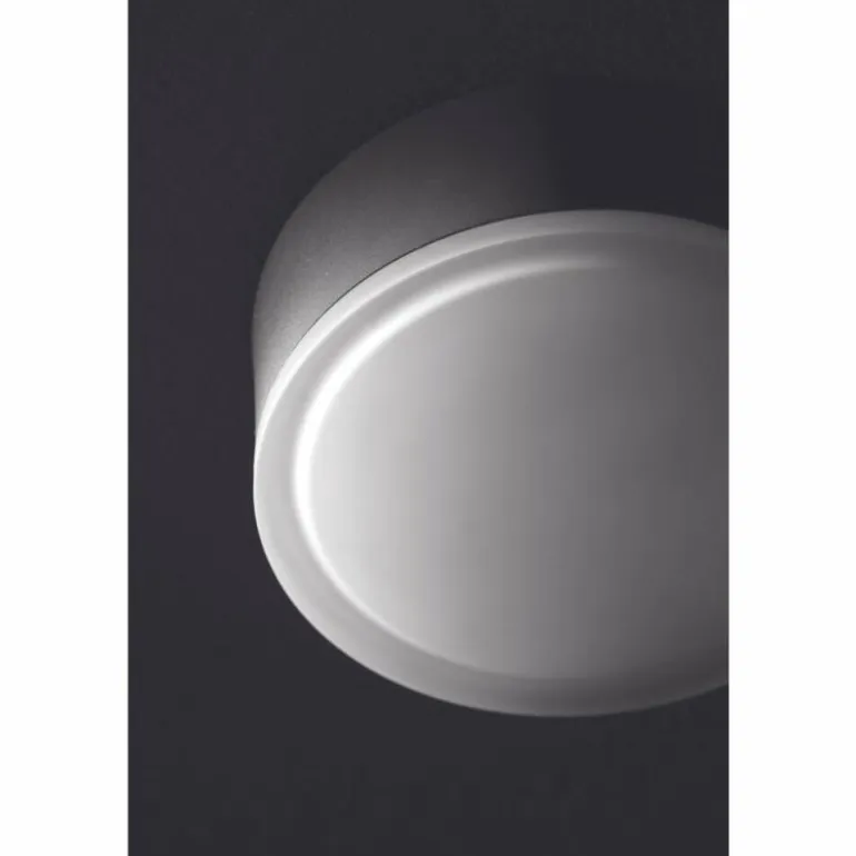 plafonnier extérieur LCD Grasbrunn LED Noir, 1 lumière