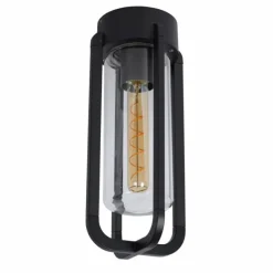 plafonnier extérieur Lucide GARLAND Noir, 1 lumière