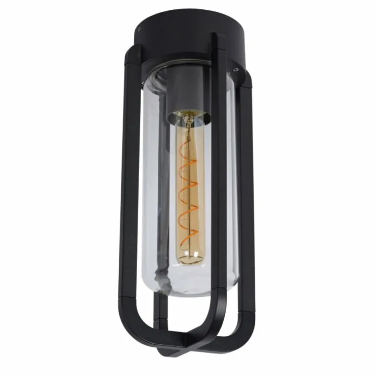 plafonnier extérieur Lucide GARLAND Noir, 1 lumière