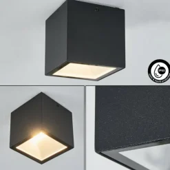 plafonnier extérieur Spidern LED Blanc, 1 lumière