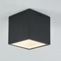 plafonnier extérieur Spidern LED Blanc, 1 lumière