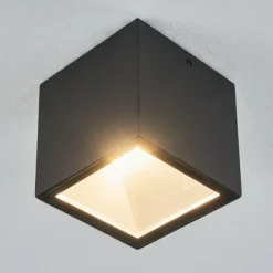 plafonnier extérieur Spidern LED Blanc, 1 lumière
