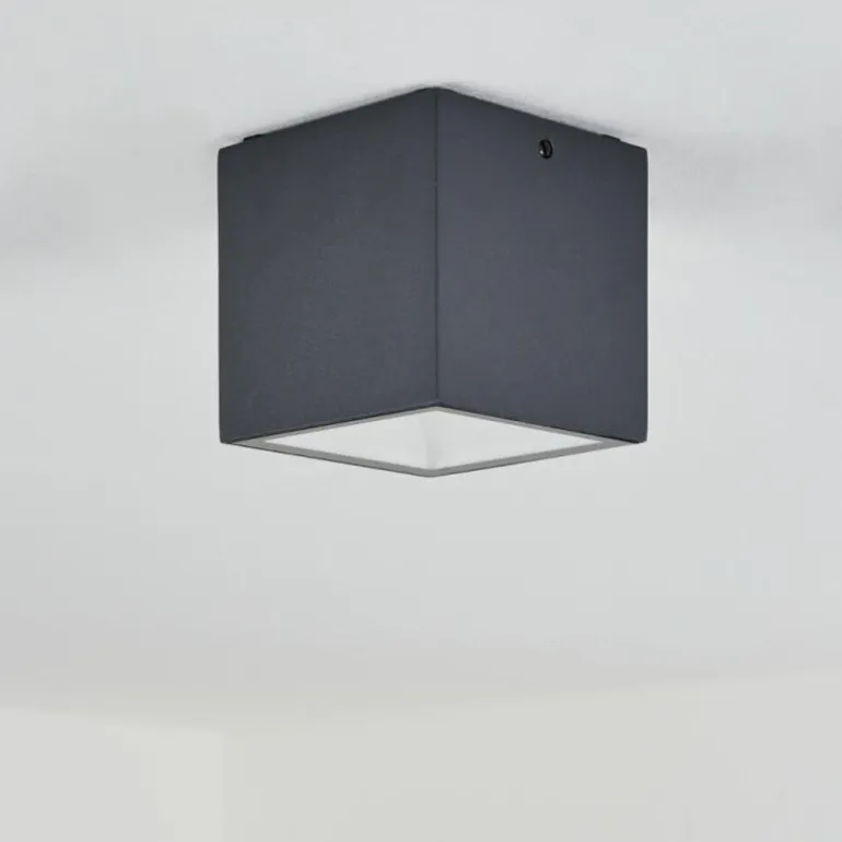 plafonnier extérieur Spidern LED Anthracite, Blanc, 1 lumière