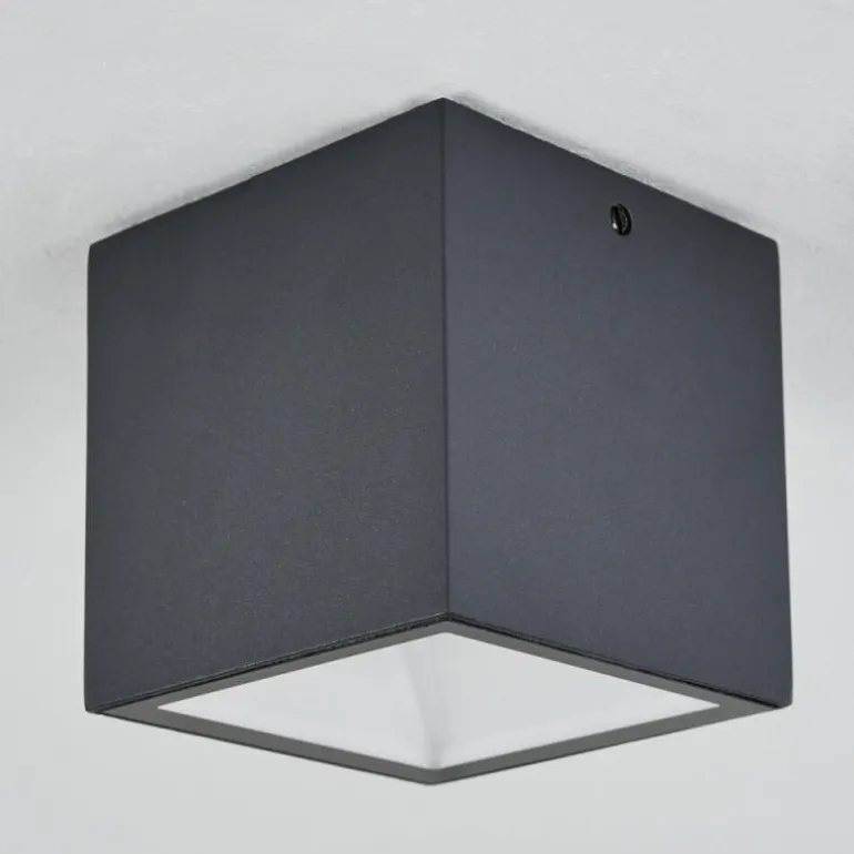 plafonnier extérieur Spidern LED Anthracite, Blanc, 1 lumière