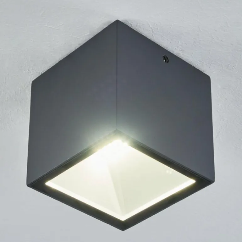 plafonnier extérieur Spidern LED Anthracite, Blanc, 1 lumière