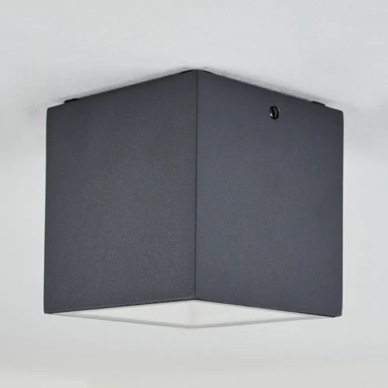 plafonnier extérieur Spidern LED Anthracite, Blanc, 1 lumière