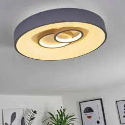 Plafonnier Gabbiana LED Gris, Blanc, 1 lumière, Télécommandes