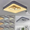 Plafonnier Gabbiana LED Gris, Blanc, 1 lumière, Télécommandes