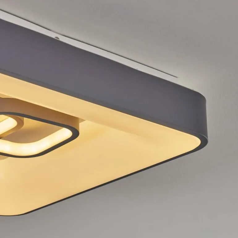 Plafonnier Gabbiana LED Gris, Blanc, 1 lumière, Télécommandes