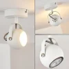Plafonnier Gadmen Chrome, Blanc, 1 lumière