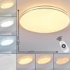 Plafonnier Genthin LED Blanc, 1 lumière, Télécommandes